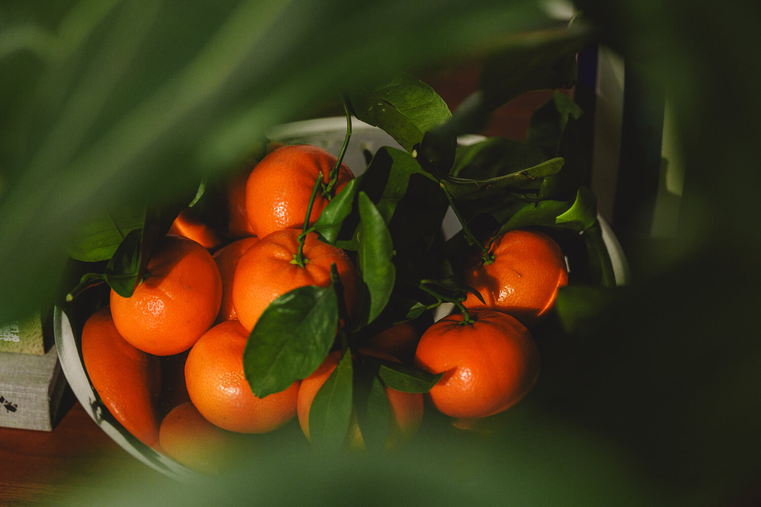 Bowl of clementines with leaves